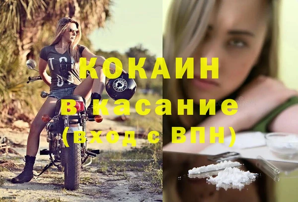 трава Осинники