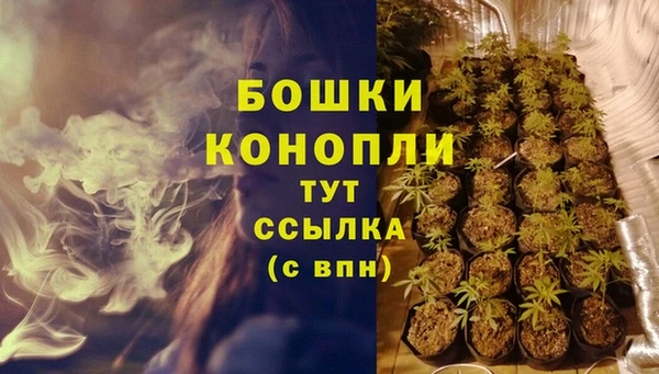 дурь Осташков