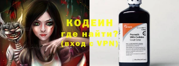 трава Осинники