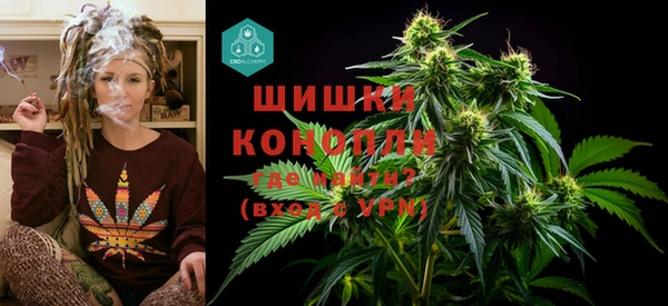 дурь Осташков