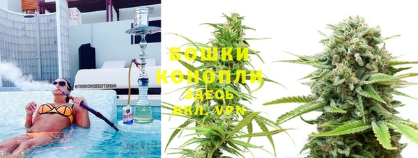 дурь Осташков