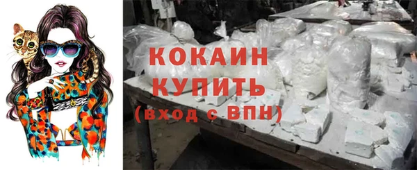 дурь Осташков